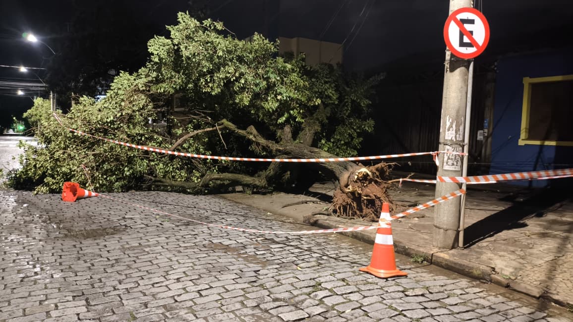 Foto 39 de 67 — TEMPORAL EM FOTOS: veja imagens de destruição em Araraquara